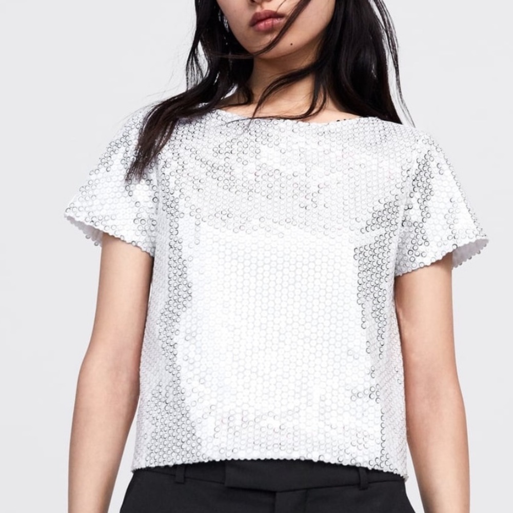 ZARA Silver Glitter Cotton Poplin Blouse Top